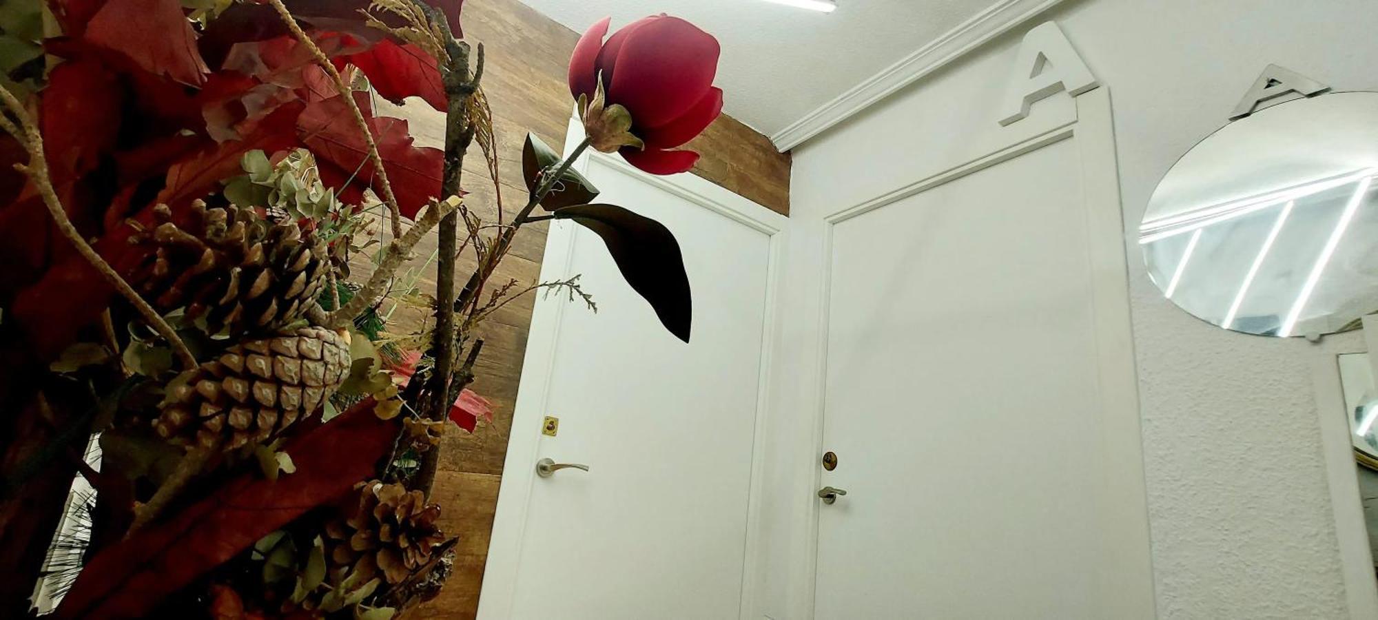 Modern Apartment In Alacant 60M² Wheelchair Accessible Alicante Buitenkant foto